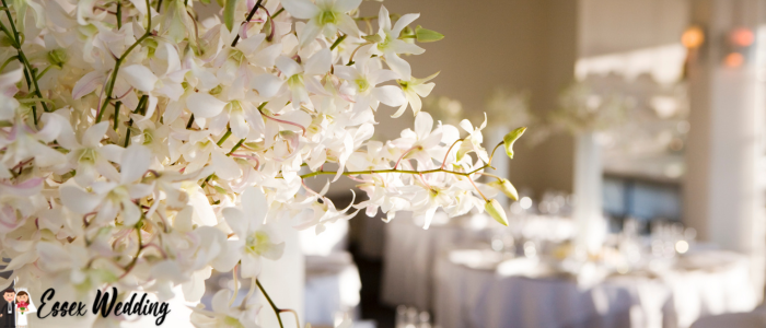 Questions To Ask Wedding Venues